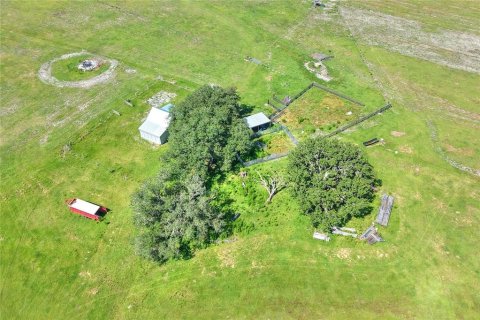 Land in Arcadia, Florida № 1906813 - photo 19