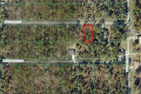 Terreno en Dunnellon, Florida № 2204977
