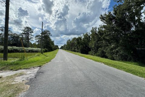 Terreno en venta en Orlando, Florida № 1355782 - foto 3