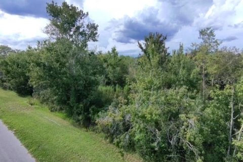 Terreno en venta en Orlando, Florida № 1355782 - foto 7