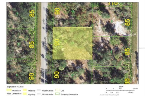 Land in Punta Gorda, Florida № 2163590