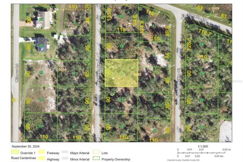 Land in Punta Gorda, Florida № 2163590 - photo 2
