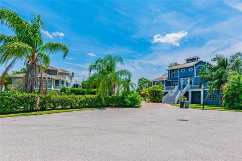 Land in Tarpon Springs, Florida № 247810 - photo 4