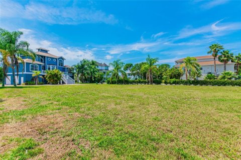 Land in Tarpon Springs, Florida № 247810 - photo 6