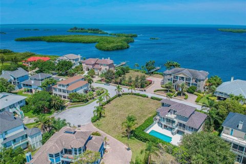 Land in Tarpon Springs, Florida № 247810 - photo 27