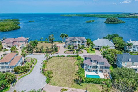 Land in Tarpon Springs, Florida № 247810 - photo 29