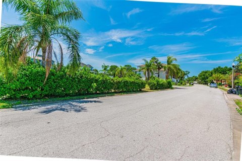 Land in Tarpon Springs, Florida № 247810 - photo 2