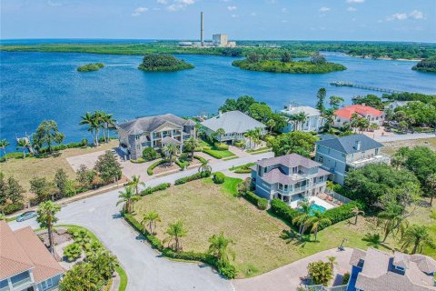 Land in Tarpon Springs, Florida № 247810 - photo 30