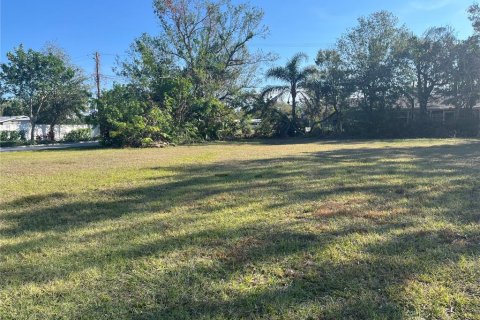 Land in Sarasota, Florida № 1540874 - photo 2