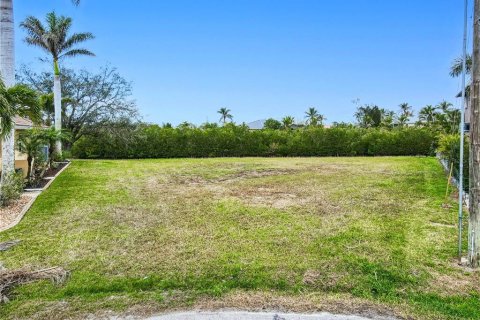 Land in Punta Gorda, Florida № 1551767 - photo 3