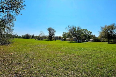Terreno en venta en Arcadia, Florida № 1900484 - foto 10