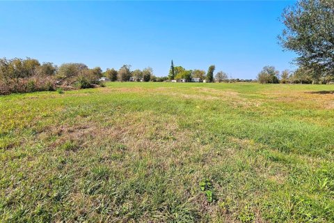 Terreno en venta en Arcadia, Florida № 1900484 - foto 5