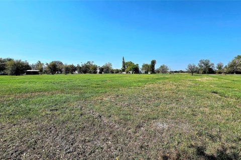 Terreno en venta en Arcadia, Florida № 1900484 - foto 6