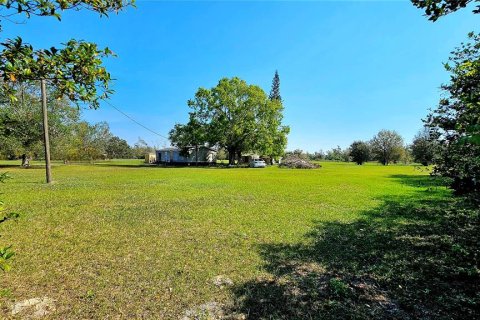 Terreno en venta en Arcadia, Florida № 1900484 - foto 2