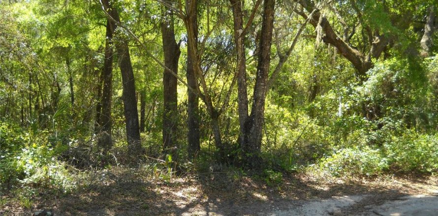 Land in Citra, Florida № 2159931