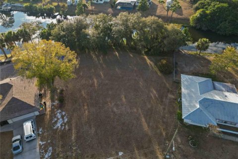 Land in Port Charlotte, Florida № 2108387 - photo 10
