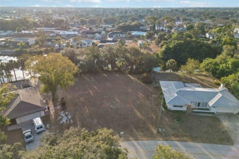 Land in Port Charlotte, Florida № 2108387 - photo 8