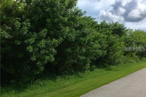 Land in Port Charlotte, Florida № 2164644 - photo 2