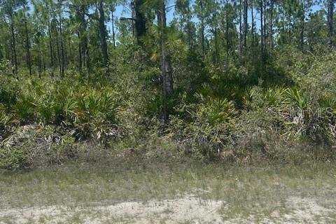 Land in Indian lake estates, Florida № 2159571 - photo 2