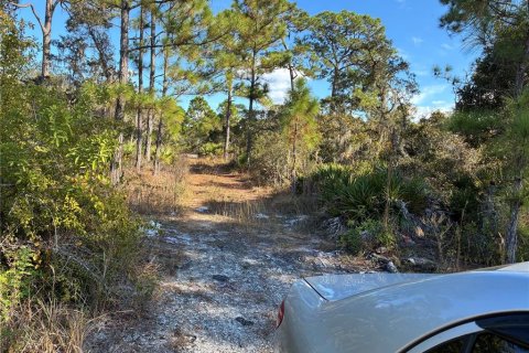 Land in Lake Placid, Florida № 2162745 - photo 2