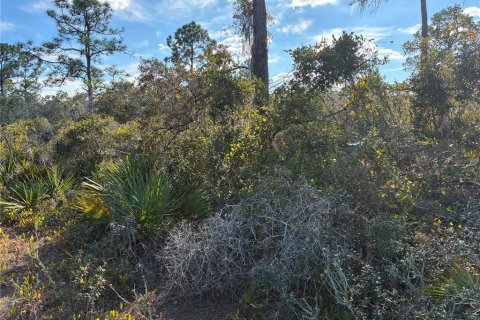 Land in Lake Placid, Florida № 2162745 - photo 3