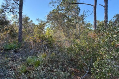 Land in Lake Placid, Florida № 2162745 - photo 4