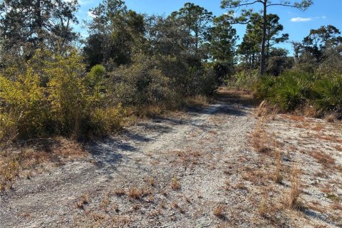 Land in Lake Placid, Florida № 2162745
