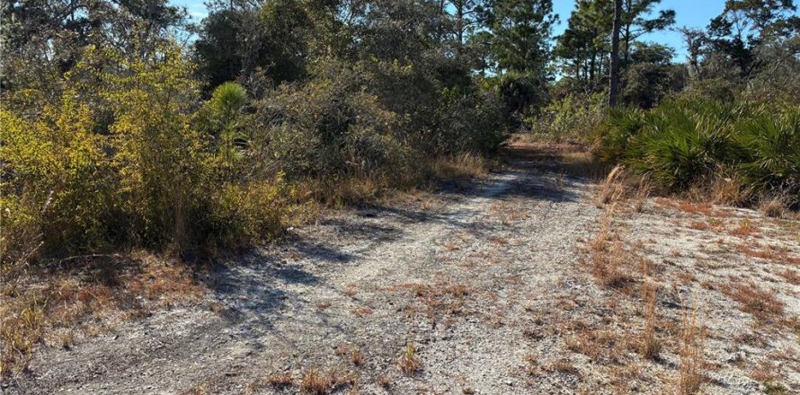 Land in Lake Placid, Florida № 2162745