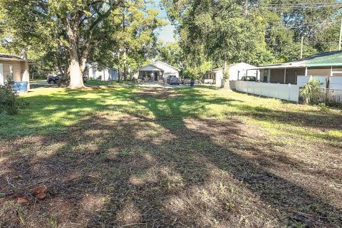 Land in Tampa, Florida № 1894780 - photo 12