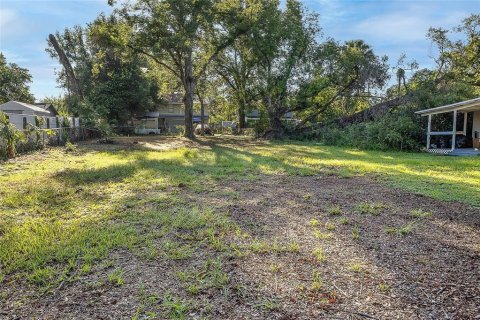 Land in Tampa, Florida № 1894780 - photo 10