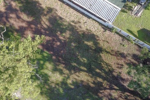 Land in Tampa, Florida № 1894780 - photo 17