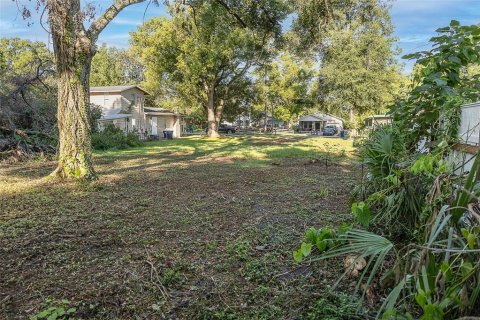 Land in Tampa, Florida № 1894780 - photo 5