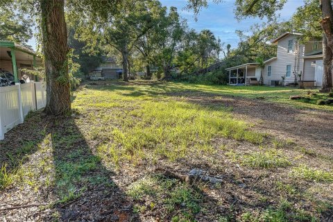Land in Tampa, Florida № 1894780 - photo 4