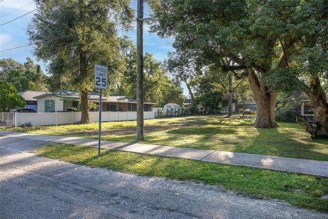 Land in Tampa, Florida № 1894780 - photo 3