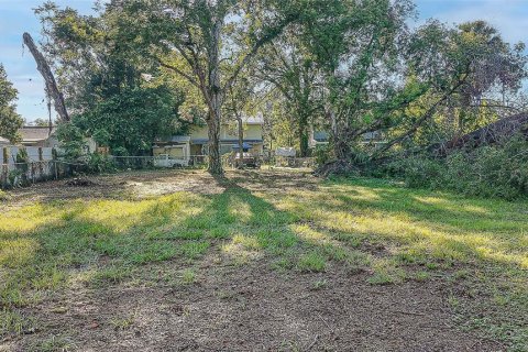 Land in Tampa, Florida № 1894780 - photo 13