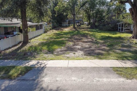 Land in Tampa, Florida № 1894780 - photo 21