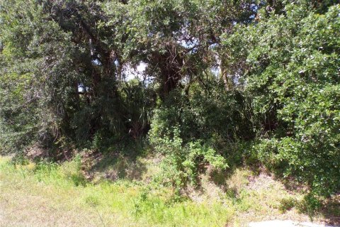 Terrain à vendre à North Port, Floride № 1658047 - photo 25