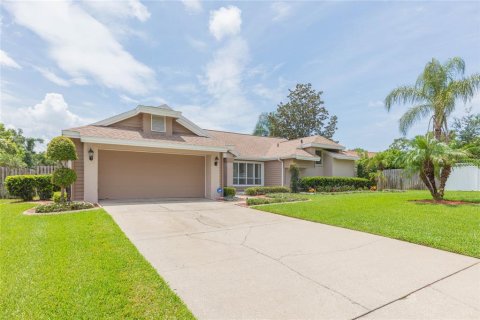 House in Brandon, Florida 3 bedrooms, 236.16 sq.m. № 2285387