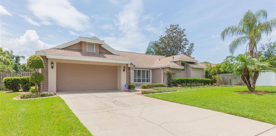 House in Brandon, Florida 3 bedrooms, 236.16 sq.m. № 2285387