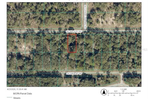 Land in Dunnellon, Florida № 2159363 - photo 2