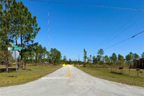 Land in Eustis, Florida № 1572091 - photo 15