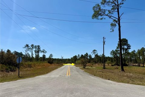 Land in Eustis, Florida № 1572091 - photo 16