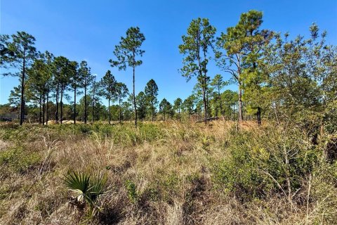 Land in Eustis, Florida № 1572091 - photo 5