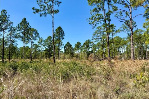 Land in Eustis, Florida № 1572091 - photo 6