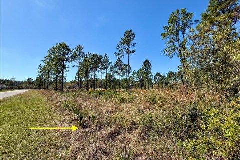 Land in Eustis, Florida № 1572091 - photo 8