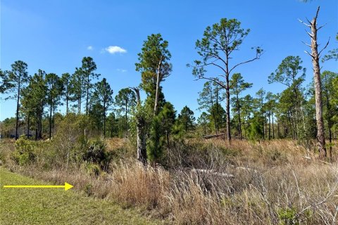 Land in Eustis, Florida № 1572091 - photo 4