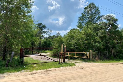 Land in Eustis, Florida № 1572091 - photo 26