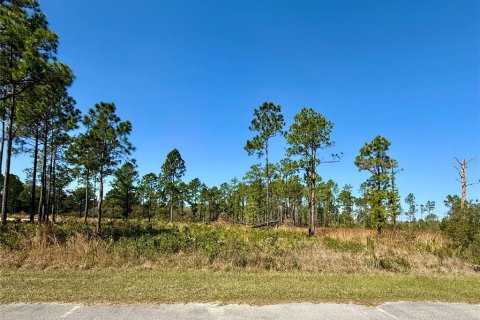Land in Eustis, Florida № 1572091 - photo 1