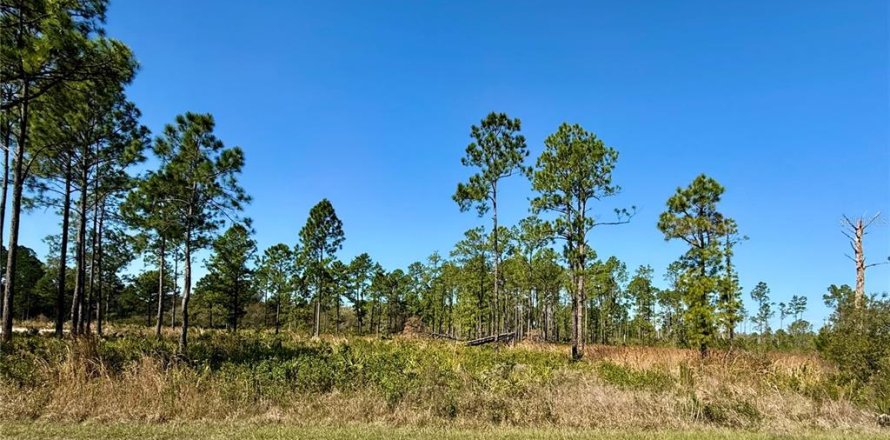 Land in Eustis, Florida № 1572091