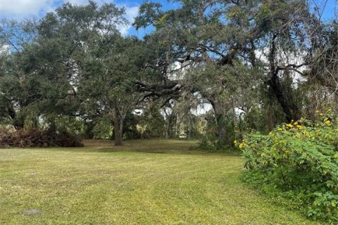 Land in Parrish, Florida № 1428940 - photo 15